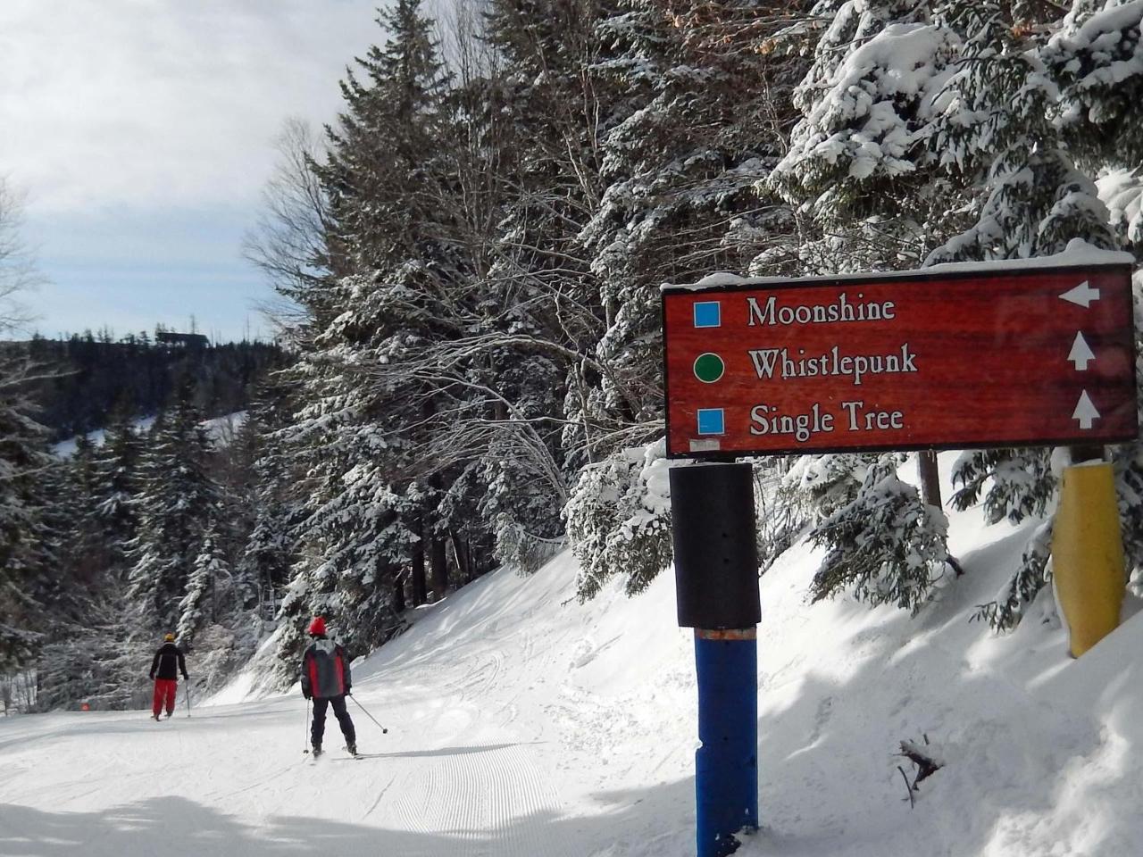 Whistlepunk 32 Villa Snowshoe Bagian luar foto